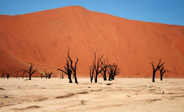 Deadvlei, Namib, Namibia