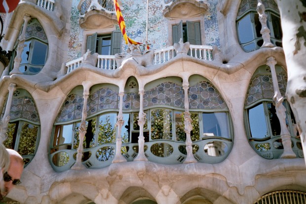 Casa Batllo - Property with bone structure