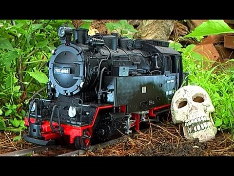 Scale Train Newqida LGB 6 Month Chernobyl Urban Decay Effects 