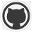 GitHub icon