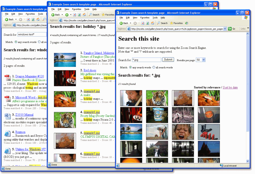 Zoom image search screenshot