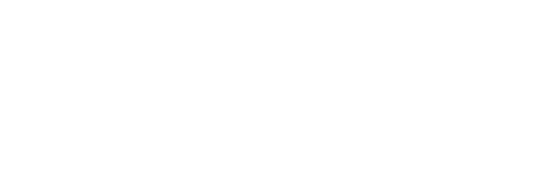 autonation logo