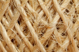 Fibra de sisal.JPG