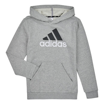 Textil Chlapecké Mikiny Adidas Sportswear BL 2 HOODIE Šedá