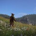 Kingdom Come: Deliverance: Kostenloses Wochenende und Rabatte