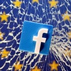 Europawahlen: Facebook will mit dpa Falschnachrichten bekämpfen