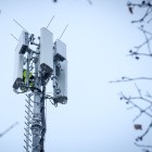 TK-NABEG: Telco-Verbände fordern Mobilfunk statt Naturschutz