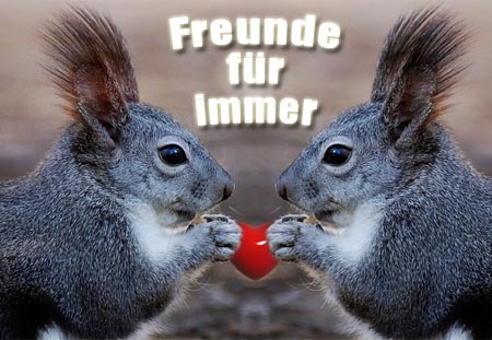 Freunde fÃ¼r immer mit EichhÃ¶rnchen