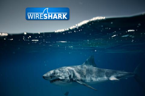 Netzwerkanalysetool Wireshark