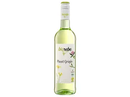 BioRebe Pinot Grigio Italien IGP trocken Bio Vegan 750ml