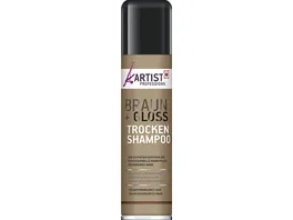 ARTIST Professional Trockenshampoo Braun Gloss