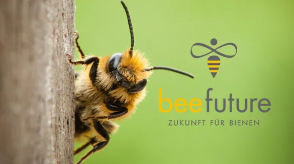 Bienenprojekt