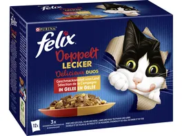 PURINA FELIX Doppelt Lecker Geschmacksvielfalt vom Land in Gelee Katzennassfutter 12x85g Portionsbeutel