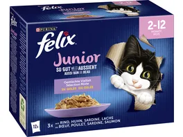 PURINA FELIX So gut wie es aussieht in Gelee Junior gemischte Vielfalt Katzennassfutter