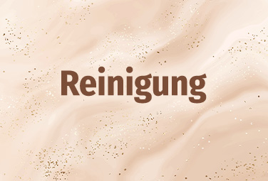 Reinigung