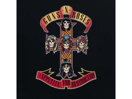 Appetite For Destruction LP