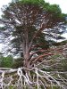 Nationalpark Loch Cairngorms