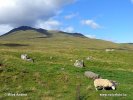 Nationalpark Loch Lomond and Trossachs