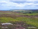 Nationalpark North York Moors