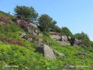 Nationalpark Peak District