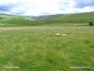 Nationalpark Yorkshire Dales