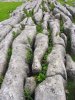 Nationalpark Yorkshire Dales