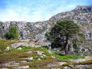 Schottland, Glen Cannich