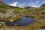 In Romsdalen Gebirge