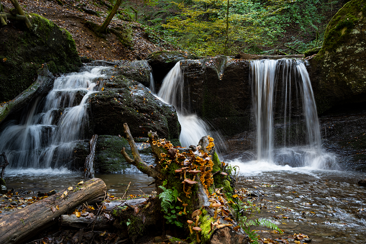 Die Ehrbachklamm im Hunsrück