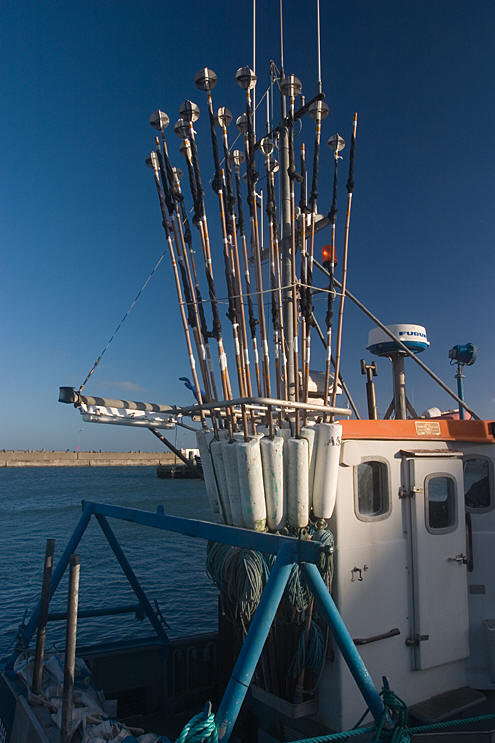 Fiskekutter i Thyborøn Havn.