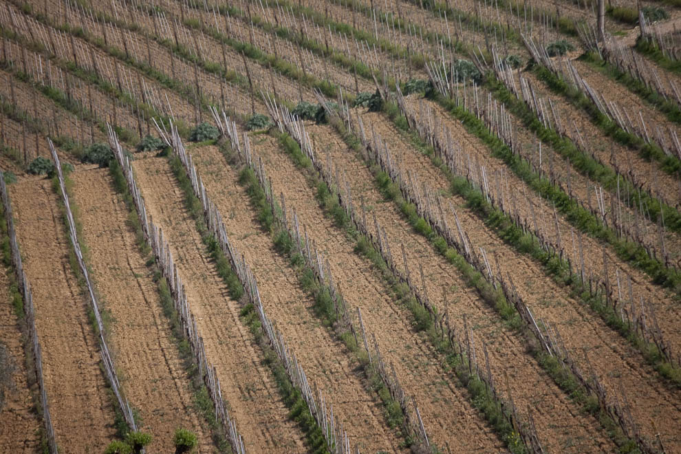 Tuscany (Italy)