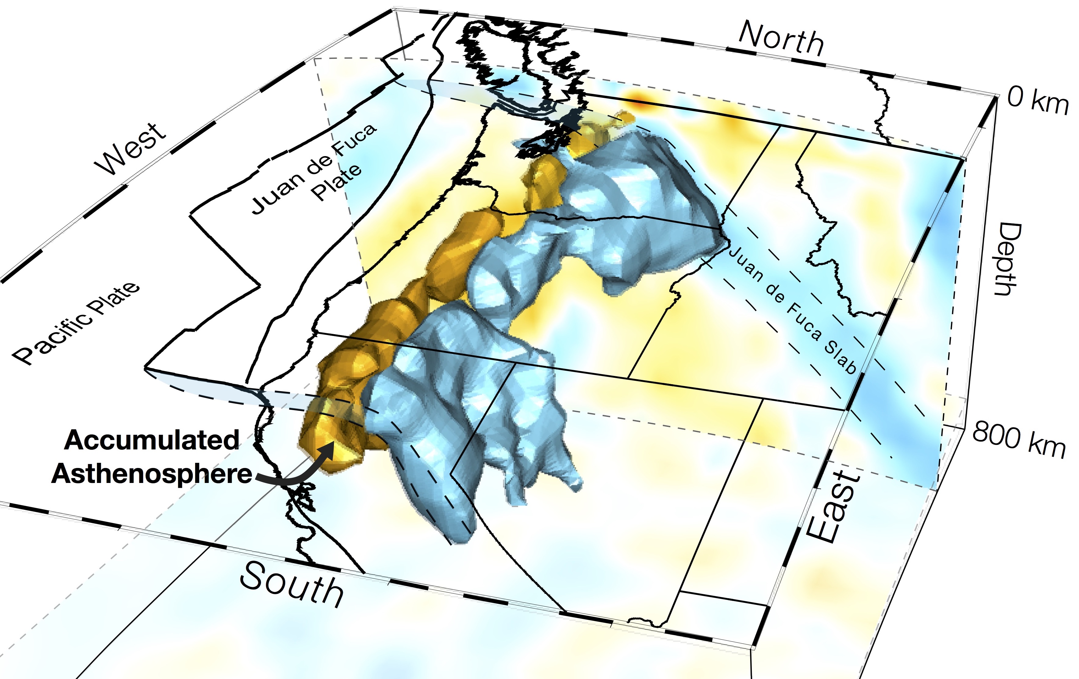 Cascadia tomography image