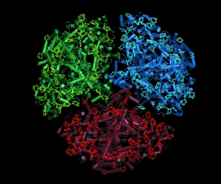 Photosystem I