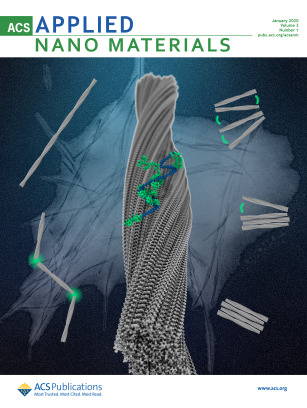 ACS Applied Materials and Interfaces