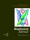 Biophysical Journal