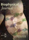 Biophysical Journal