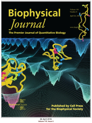 Biophysical Journal