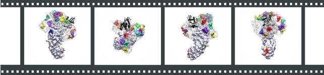 Cse1p binding spots