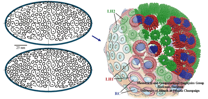 Architecture of two PSUs.