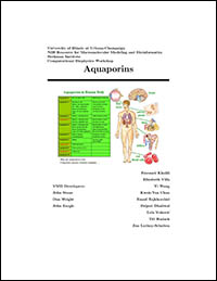 Aquaporins/MultiSeq Tutorial