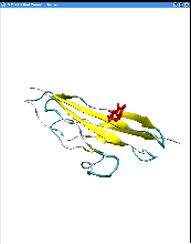 \includegraphics[width=1.5in]{FIGS/timeline-titin-ss-gl}