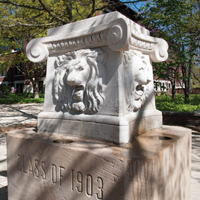 Stone Lions Fountain 