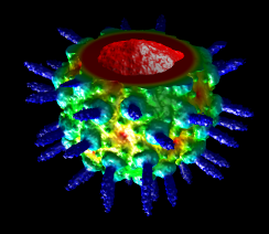 radial surface color