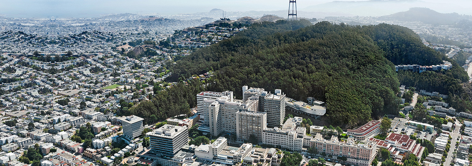 aerial image of parnassus