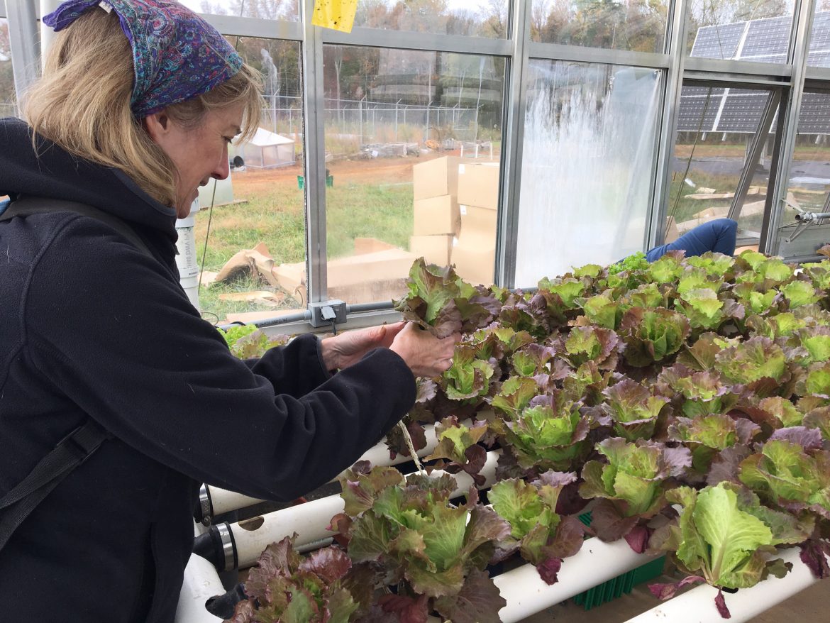 College of agriculture, urban sustainability and environmental sciences