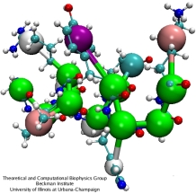 Coarse-Grained Polypeptide