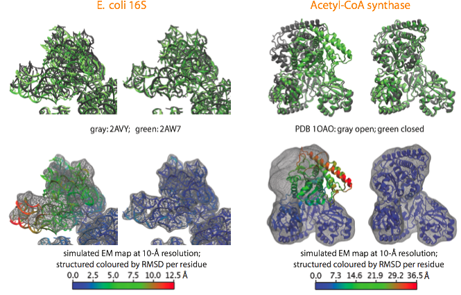 Validation of MDFF