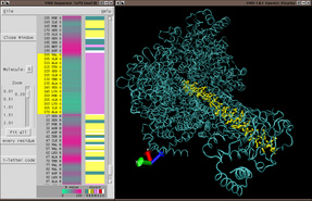 Image of the Sequence Viewer Plugin