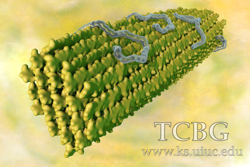 TCBG Calendar 2015 (2).