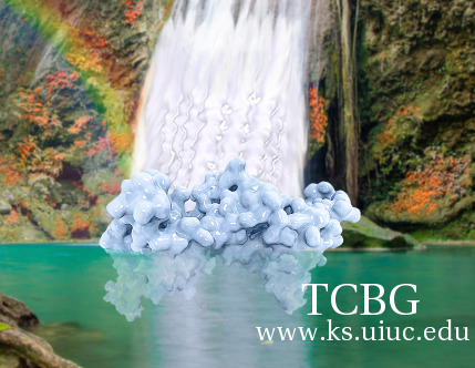 TCBG Calendar 2016.